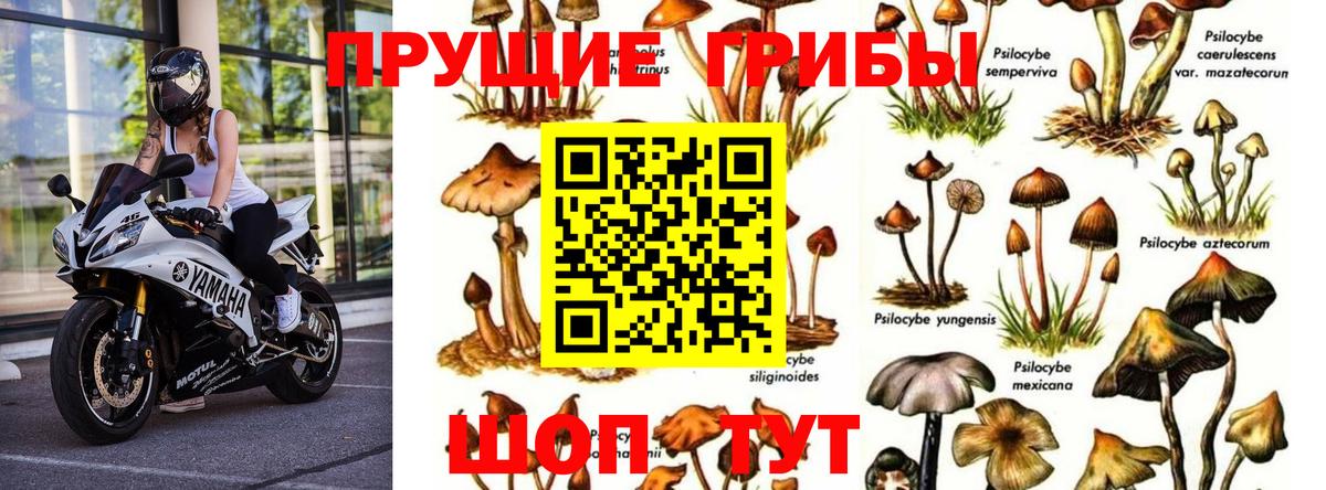 Янаул  Псилоцибиновые грибы Magic Shrooms  Галлюциногенные грибы прущие грибы  Вход с VPN 