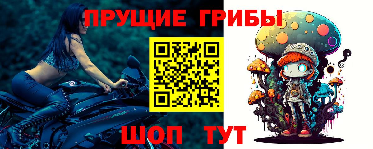 Галлюциногенные грибы Psilocybe Янаул